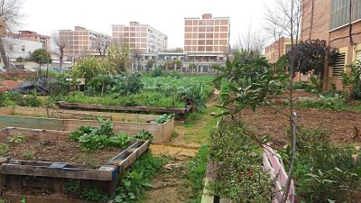 El huerto solidario “Fuensanta”