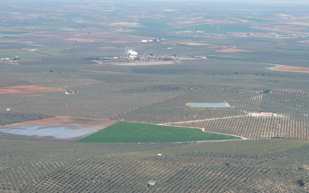 Ecologistas en Acción pide atención para los humedales en Córdoba