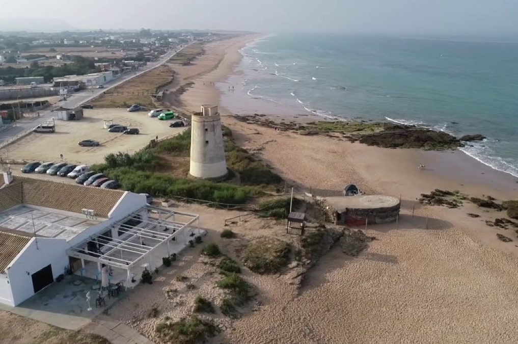 Ecologistas en Acción apoya las actuaciones de la Junta de Andalucía en El Palmar de Vejer
