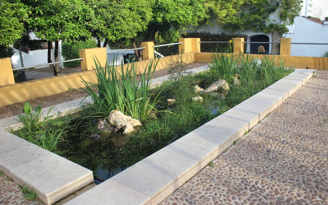 Movimientos vecinales climáticos celebran el primer cumpleaños de la fuente naturalizada de Orive