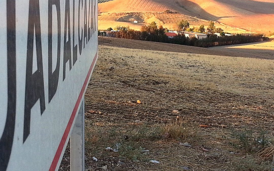 AREMEHISA retoma la búsqueda de » los carboneros» en el cementerio municipal de Guadalcázar