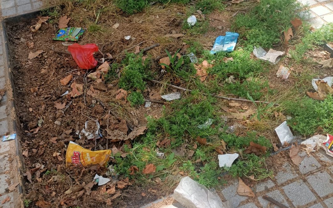 Alumnado del Campo de la Verdad se mueve por la falta de arboleda en el barrio