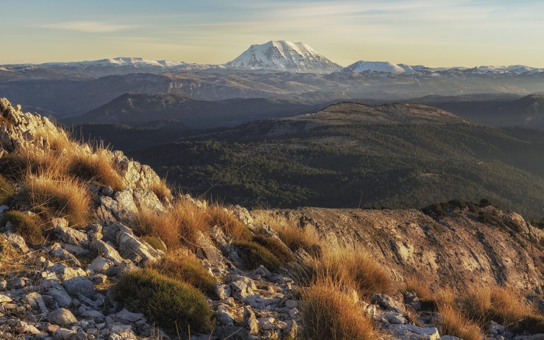La Mesa social del agua de Andalucía reivindica gestionar el agua como un bien público