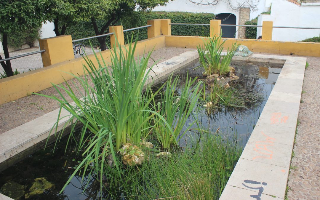 El estanque-fuente de los Jardines de Orive acogerá de nuevo actividades vecinales en la celebración de su segundo aniversario