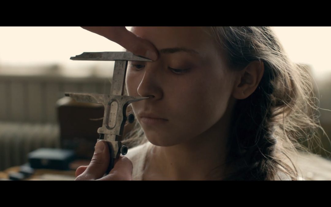 «Afiche» nos anuncia la proyección de «Sameblod»