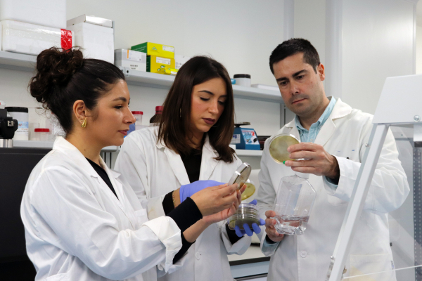 Validan un nuevo modelo para predecir el crecimiento de la listeria en quesos frescos artesanales